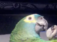 20130916_193940.webp