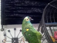 20130916_193834.webp