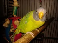 Letta2 11-3-13.webp