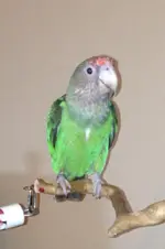 image.webp