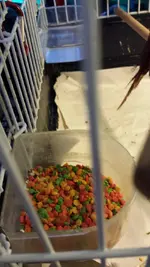 20131108_103622.webp