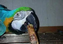 20131109_185744 2.webp