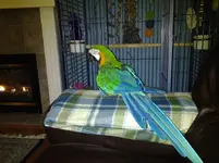 20121004_201914.webp