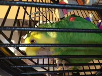 photo 2.webp