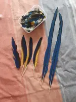 20230518_203458.webp