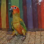 KO3ivwsQzTbN4.webp