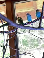IMG_1203.jpeg