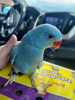 20230708_150404.webp