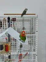 IMG20230724210713.webp