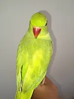 20231004_083119.webp