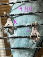 IMG_4584.jpeg