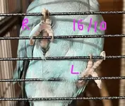 IMG_4586.jpeg