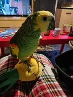 20231103_195445.webp