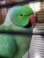 20231107_151652.webp