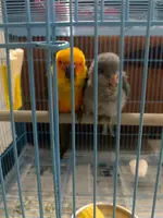 IMG-20231114-WA0004.webp