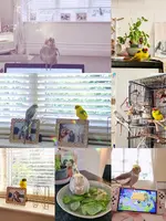 23-11-21-17-00-09-668_deco.webp