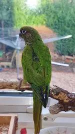 20231223_141018.webp
