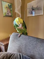 20230930_180001.webp