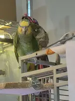 20240207_172048.webp