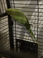 20240130_204453.webp