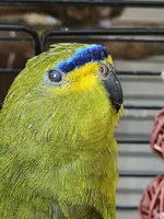 20240406_104249.webp