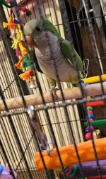20240308_163753.webp