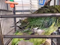 IMG_20240412_055306901.webp
