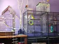 20240413_171300_HDR.webp