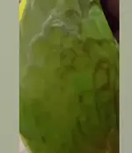 1715286833212.webp