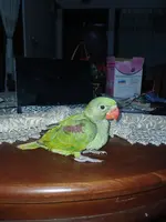 20240517_222023.webp