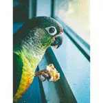 InFrame_1717201279316.webp