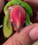 20240610_172648.webp