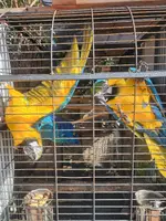 20240125_125638.webp