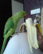 2013-10-01 23.14.29.webp