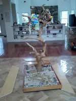 2012-12-07_09-28-56_47.webp