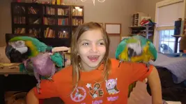 Hannah and macaws.webp