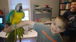 Gabie and Draco.webp