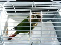 020.webp
