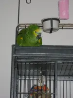 Sydney 2012-12-08 004.webp