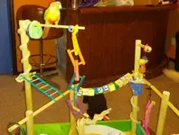 playstand 2.webp