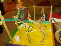 playstand 6.webp