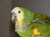 DSCF0004.webp