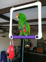 2013-10-12 09.42.08.webp