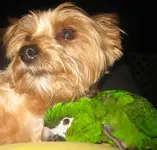 image.webp