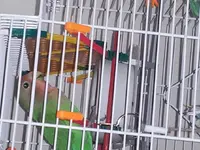 20131202_185605.webp