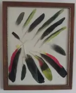 framedfeathers.webp
