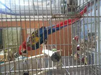 20131201_145011.webp