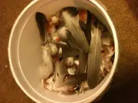 image.webp