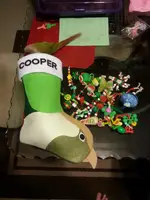 20121222_152816 (1).webp