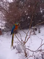 IMGP0170.webp